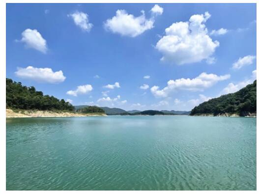 新時代中國調研行·長江篇|湖南常德：探索建立全域濕地保護管理體系